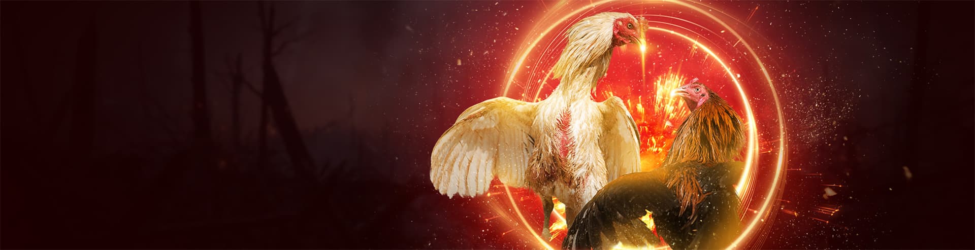 Sabung ayam SV388 EU303